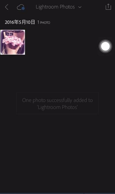 lightroom手机版