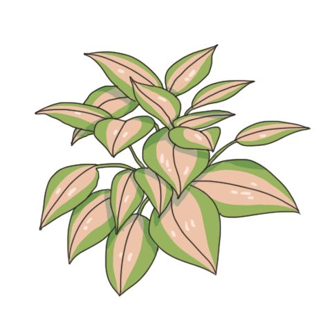 天道洪荒模拟器无敌版图片6