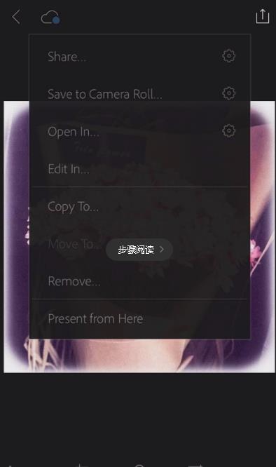 lightroom手机版