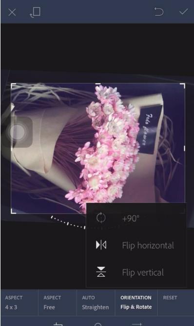 lightroom手机版