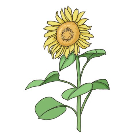 天道洪荒模拟器无敌版图片4