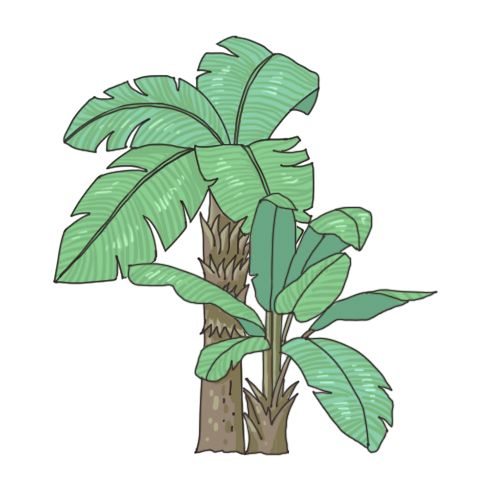 天道洪荒模拟器无敌版图片10