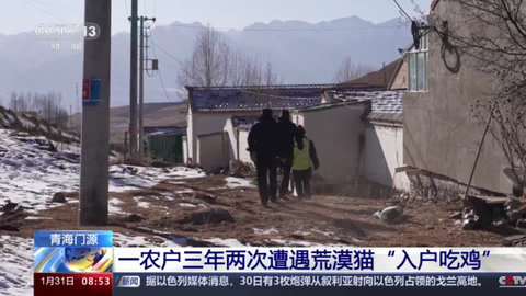 全球电视直播盒子版