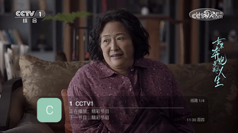 全球电视直播TV版