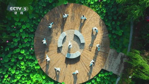 海鸥直播电视盒子版