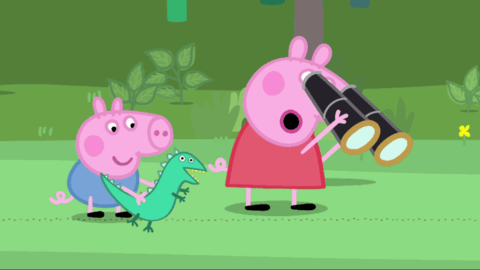 太阳直播TV版电视盒子版