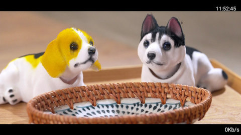 月亮直播高清免费版