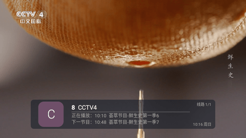 蚂蚁直播电视版