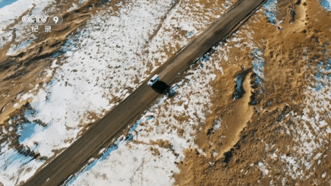 飞鸟直播TV电视版