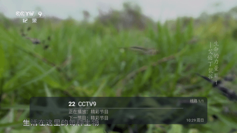 live电视直播免密码版