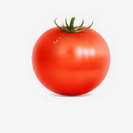 西红柿直播电视盒子版