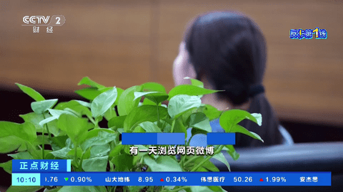 港湾直播电视盒子版