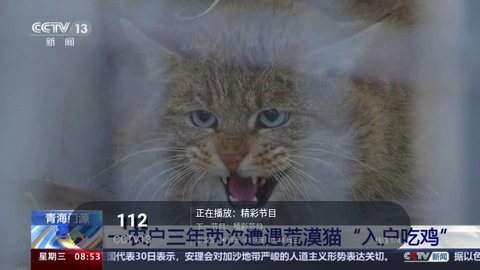 全球电视直播盒子版