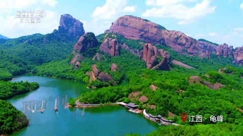 传说影视直播电视版