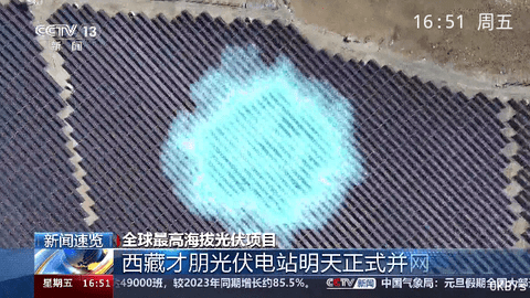 DV电视直播无广告版