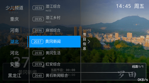 红猫直播电视版