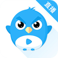 小鹰直播电视版手机客户端