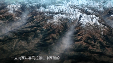 派大星直播永久免费版