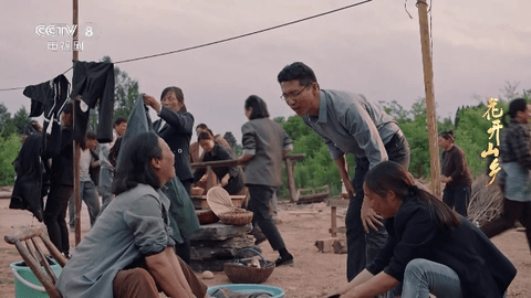 野火电视直播高清免费版