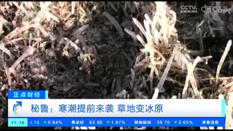 小生TV直播vip会员免费版