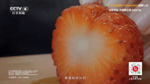 直播仓v3电视盒子版