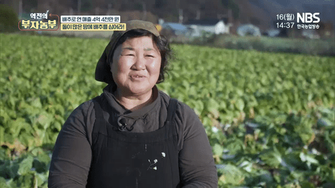 月光宝盒直播X2.0最新2024官方版