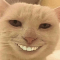 崩锅直播电视盒子版