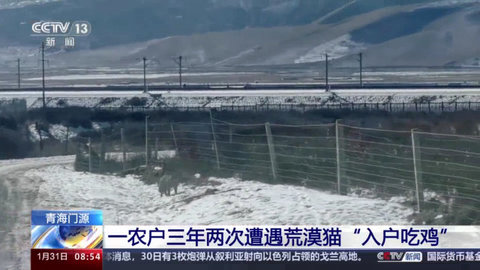 全球电视直播盒子版