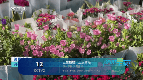 崩锅直播高清免费版