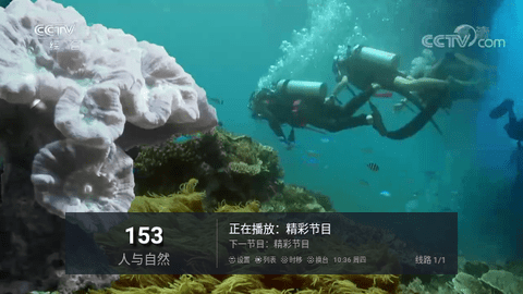 叮当V4直播TV电视版