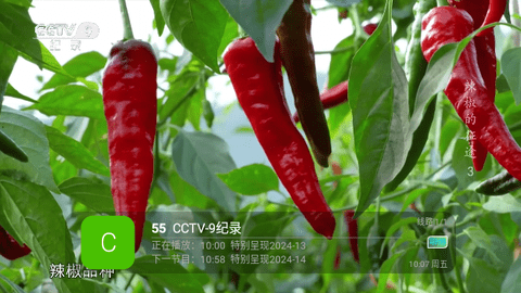 芸汐直播电视盒子版