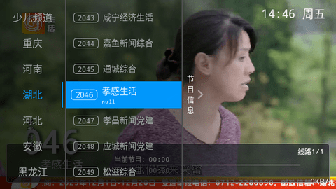 红猫直播电视版