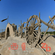 西夏直播2024最新版