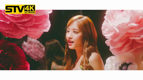 STV直播高清免费版