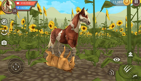 3D动物模拟器最新中文版