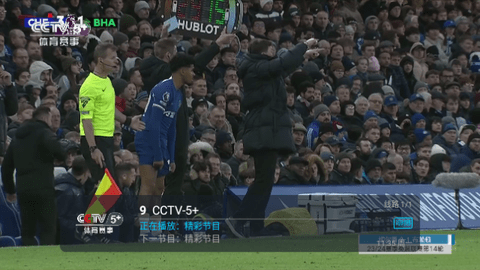 西红柿直播电视盒子版