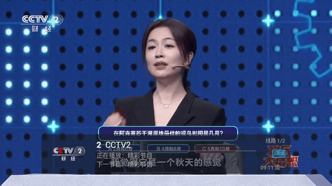 一本TV无广告版