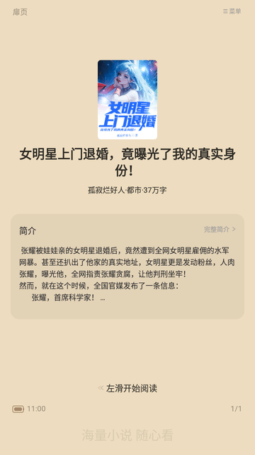 书风小说纯净版