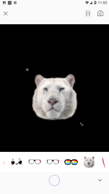 Runway相机专业版