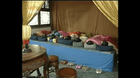 叮铛TV去广告版