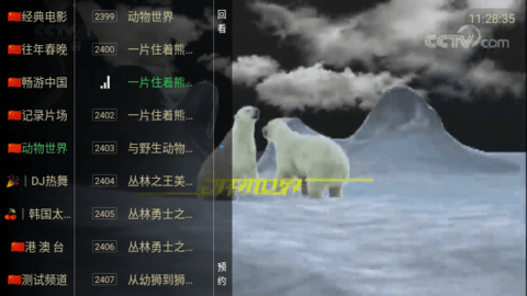 小辣妹视界TV纯净版