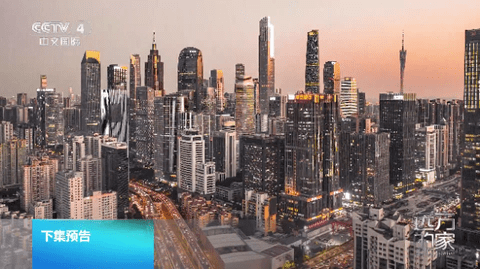 专看TV去广告版