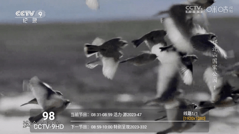 挺好TVPro永久免费版