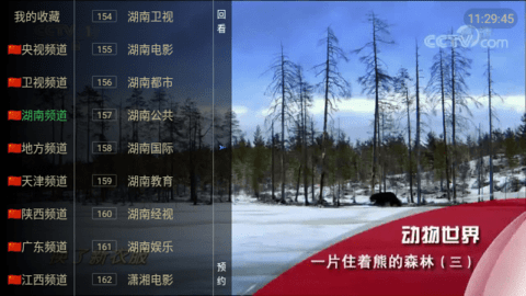 小辣妹视界TV纯净版