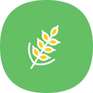 麦子下载无广告纯净版