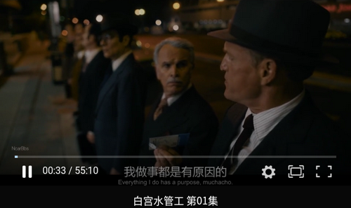 私人综合影院纯净版