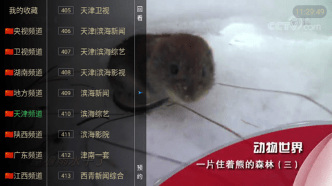 小辣妹视界TV纯净版