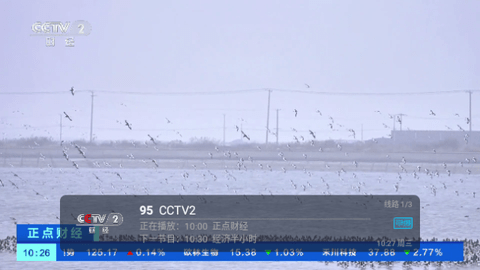 小辣妹视界TV电视盒子版