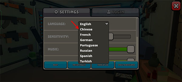 设置中文攻略配图3