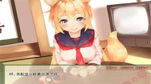 我与空狐的日常完整游戏最新 我与空狐的日常完整游戏最新